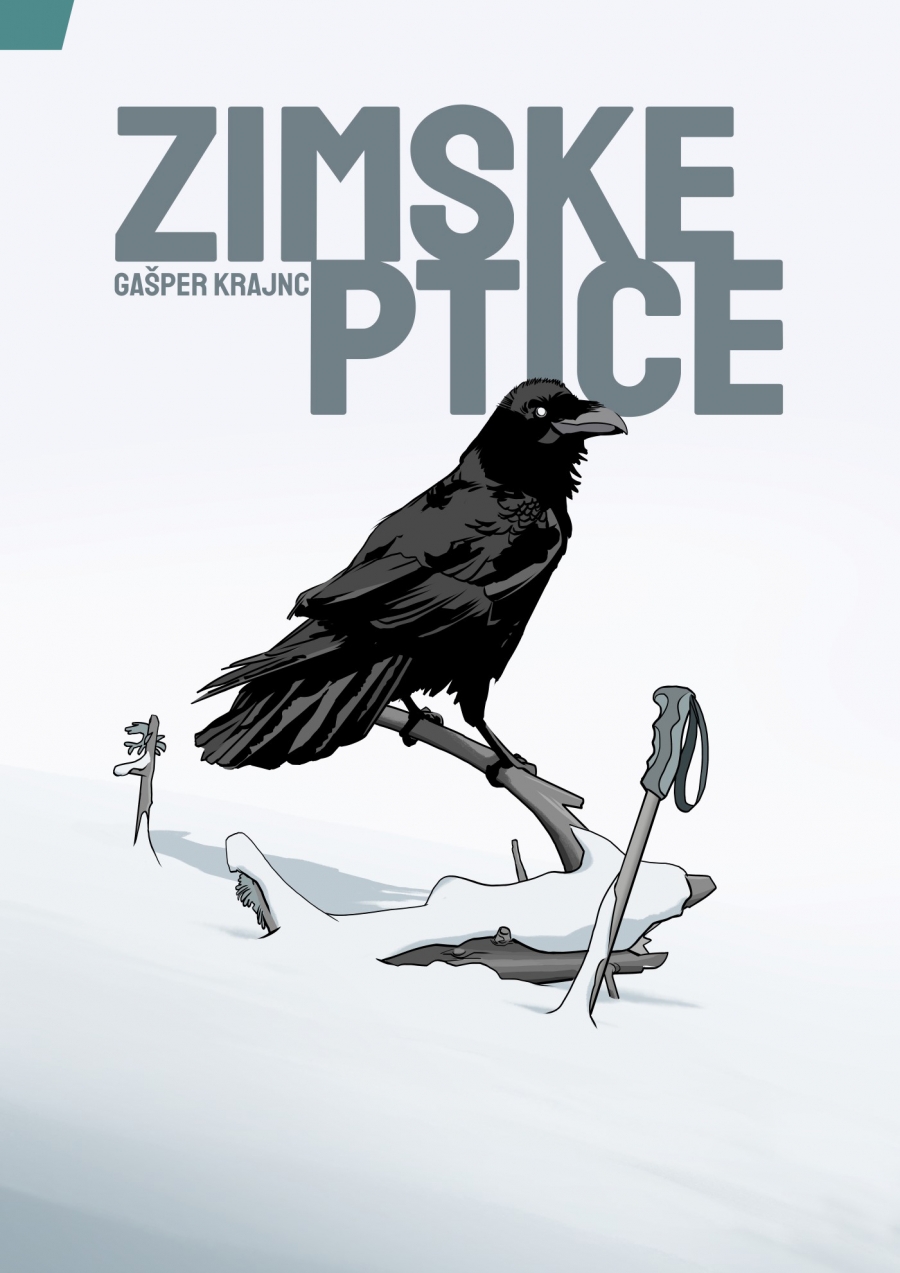 Zimske ptice